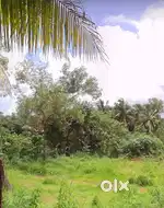 Residential land  with clear documents