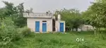 12 kanal land sale at jakh, rakh rara