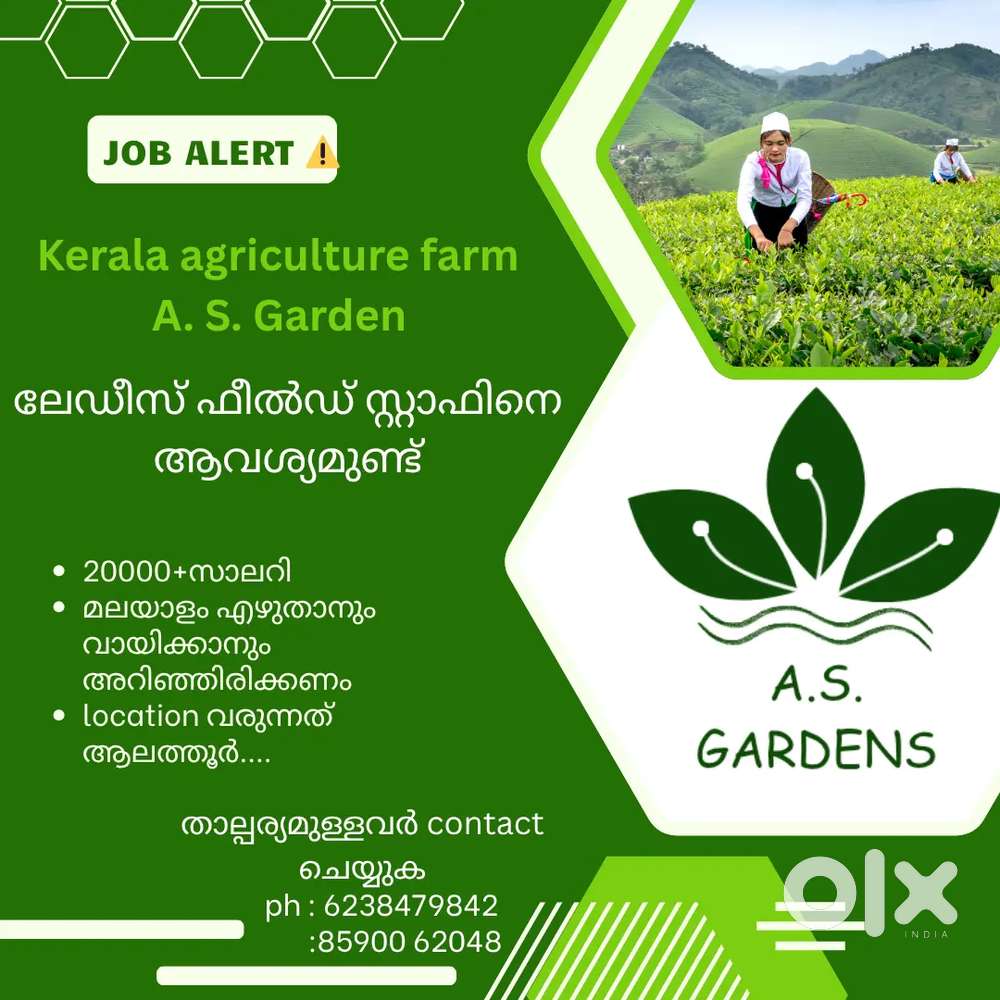Ladies staff only, field work ആണ് vacancy