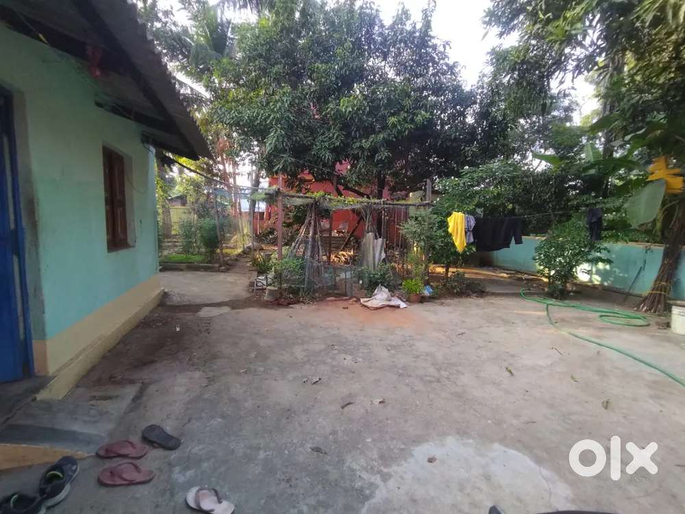 Looking for a Roommate (Only Boys)