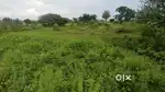 Plot at Vasali, near sula