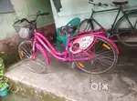 Ladybird ladies bicycle