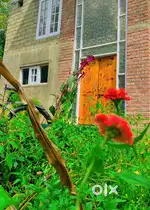 House on sale , total land 2 kanal
