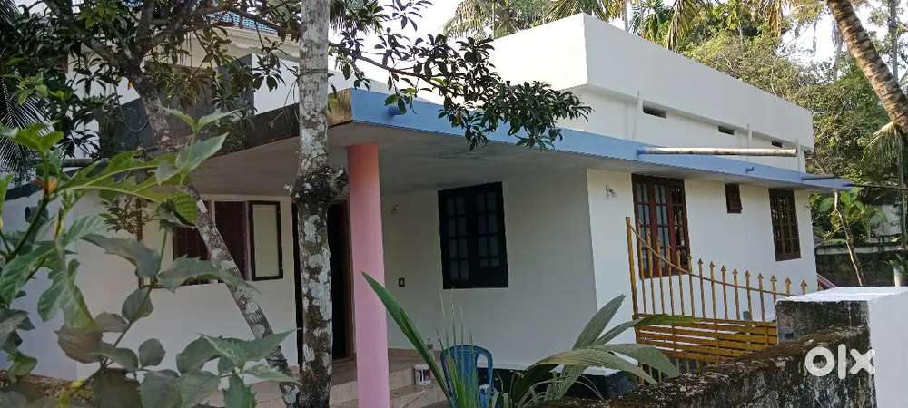 5 cent land and house