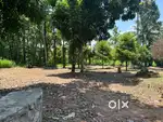 Premium House plots Changanacherry Madhumoola.