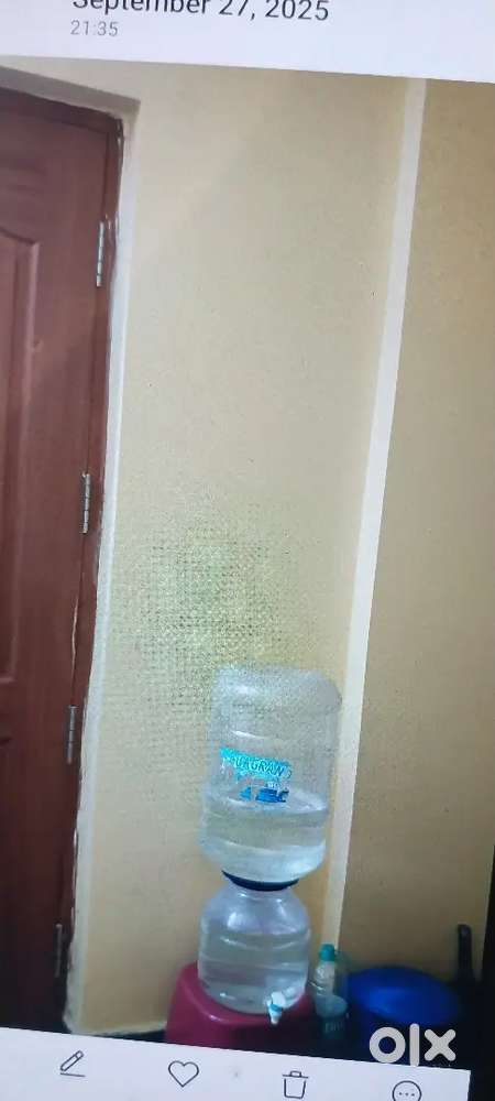 Female roomate
