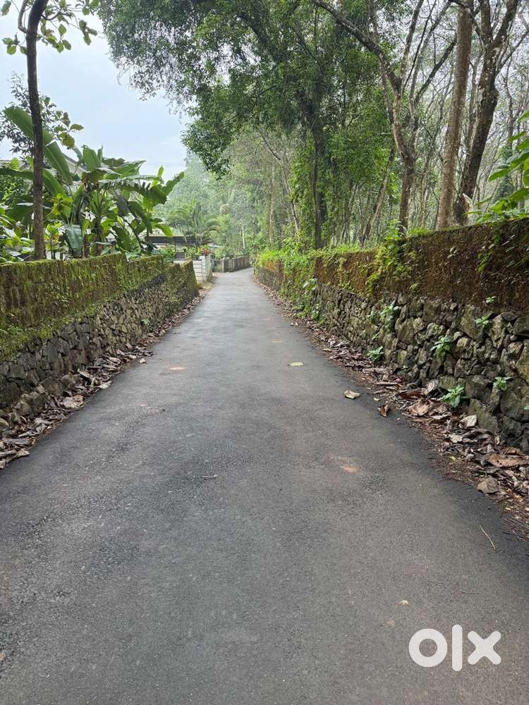 40cents land for sale in Pancode, Kadayirupu