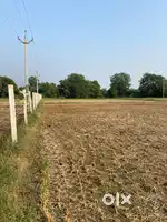 Bilodra 36 Guntha N.A Title clear ta.nadiad land for sell
