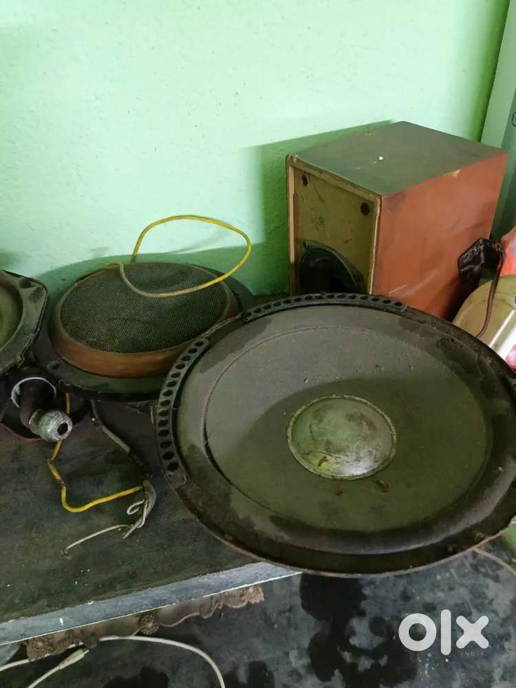 Old Speaker