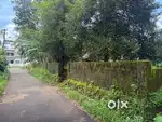 INFOPARK KAKKANAD 8 KM 21 CENT PLOT PALLIKKARA VEMBILLY MORAKKALA