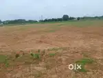 Agriculture land for sale