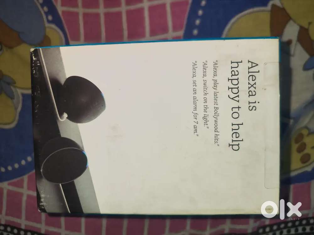 Alexa echo pop (not open)