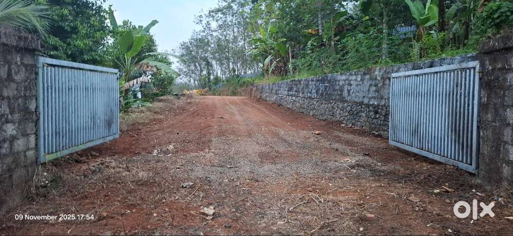 12 cents beautiful plot at thellakom