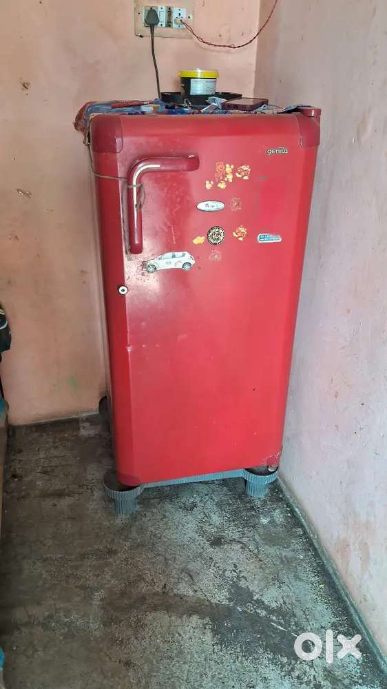 Wirful fridge singal dor