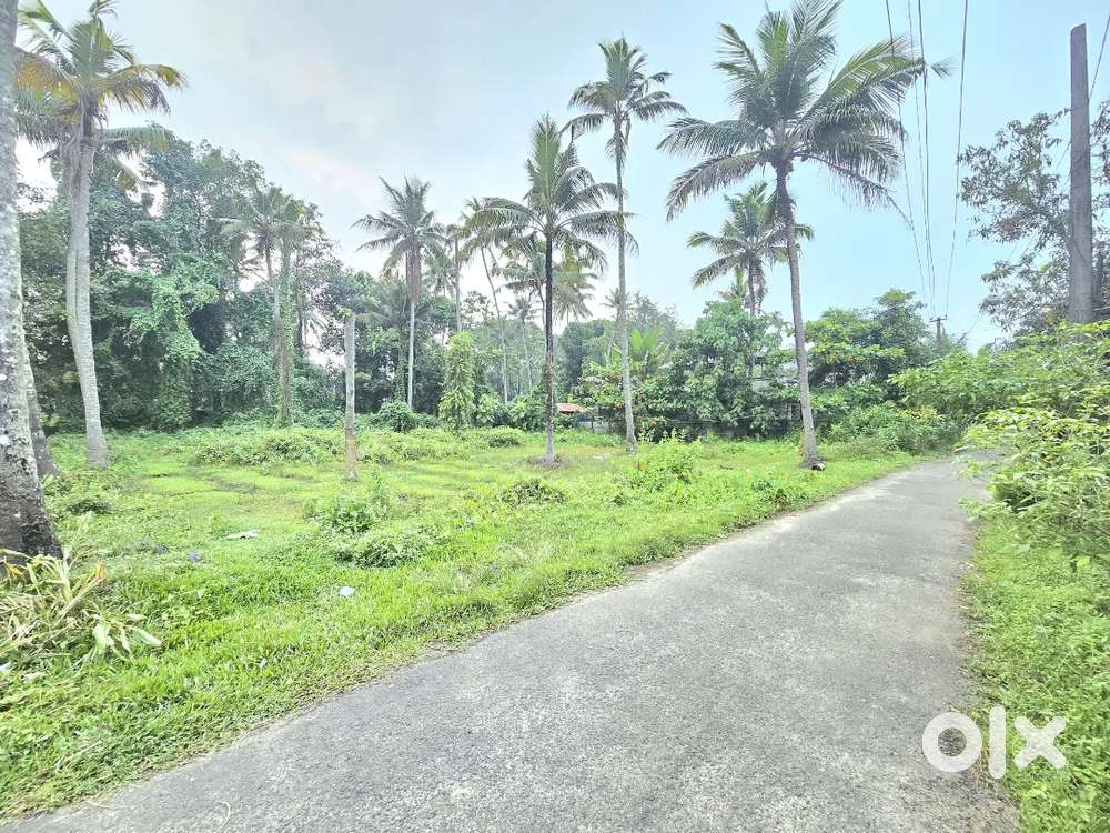 13 CENT ORGINAL LAND FULL OR PART IN PARAVUR NEAR NANDHIKULANGARA