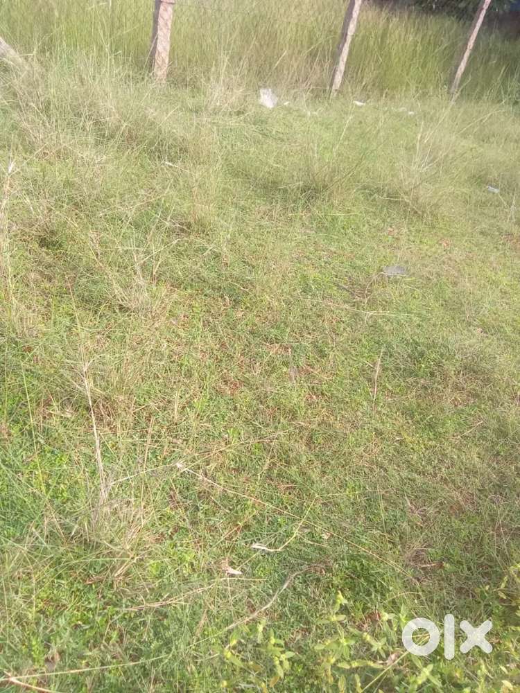 Direct person can contact