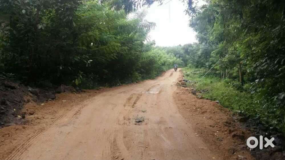 4Acre Rubber Estate