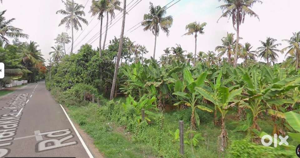 9 Acre Family Property 14Km from Cochin International Airport
