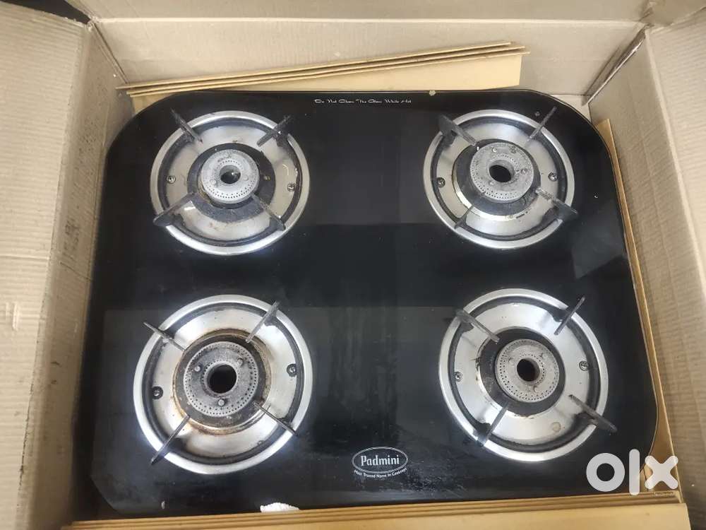 Padmini stove
