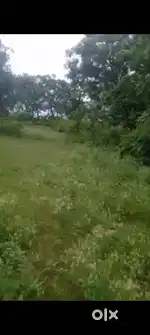 Land sale 10 bigah 16 biswa