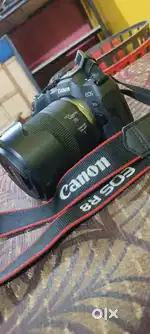 Canon ESO R8 for Rental