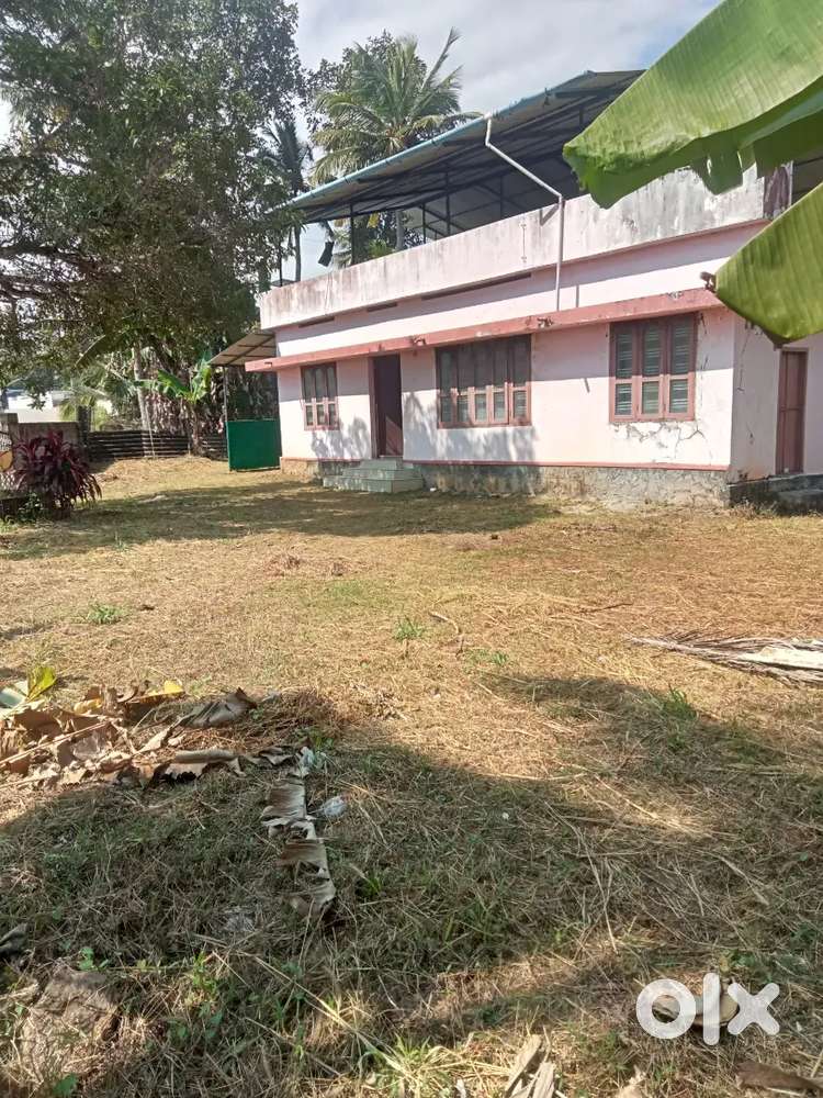 House & plot for sale