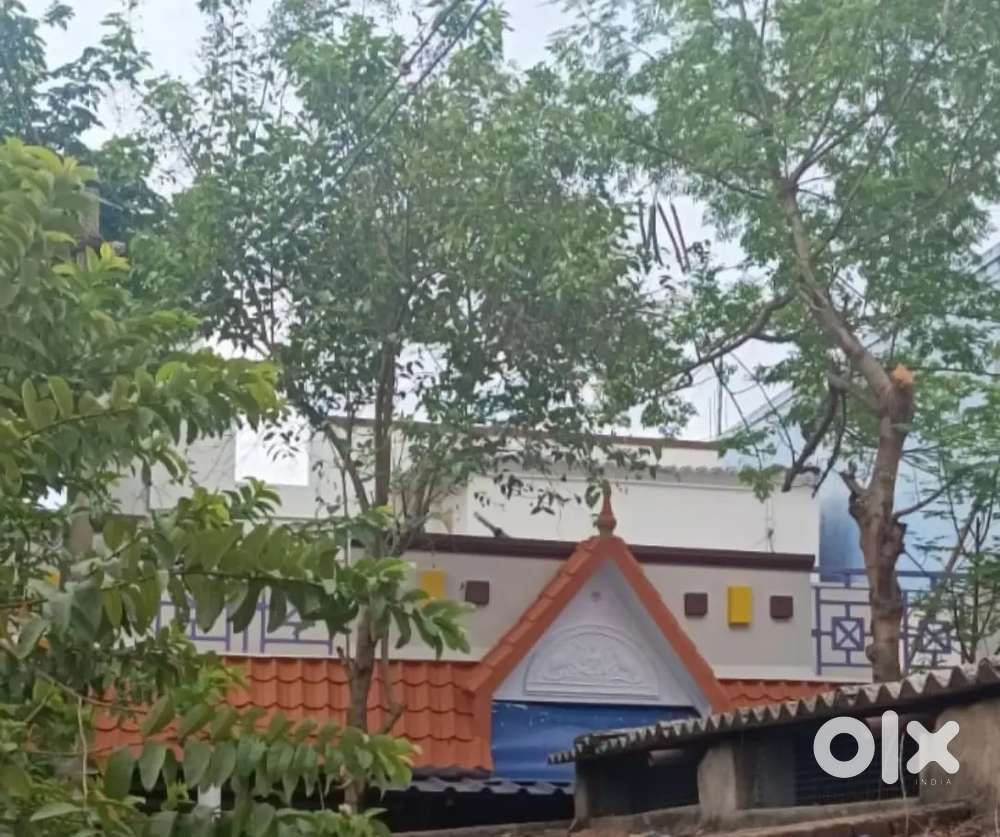 Individual 3bhk house for rent in prime location
