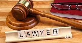 Advocacy and Lawyer