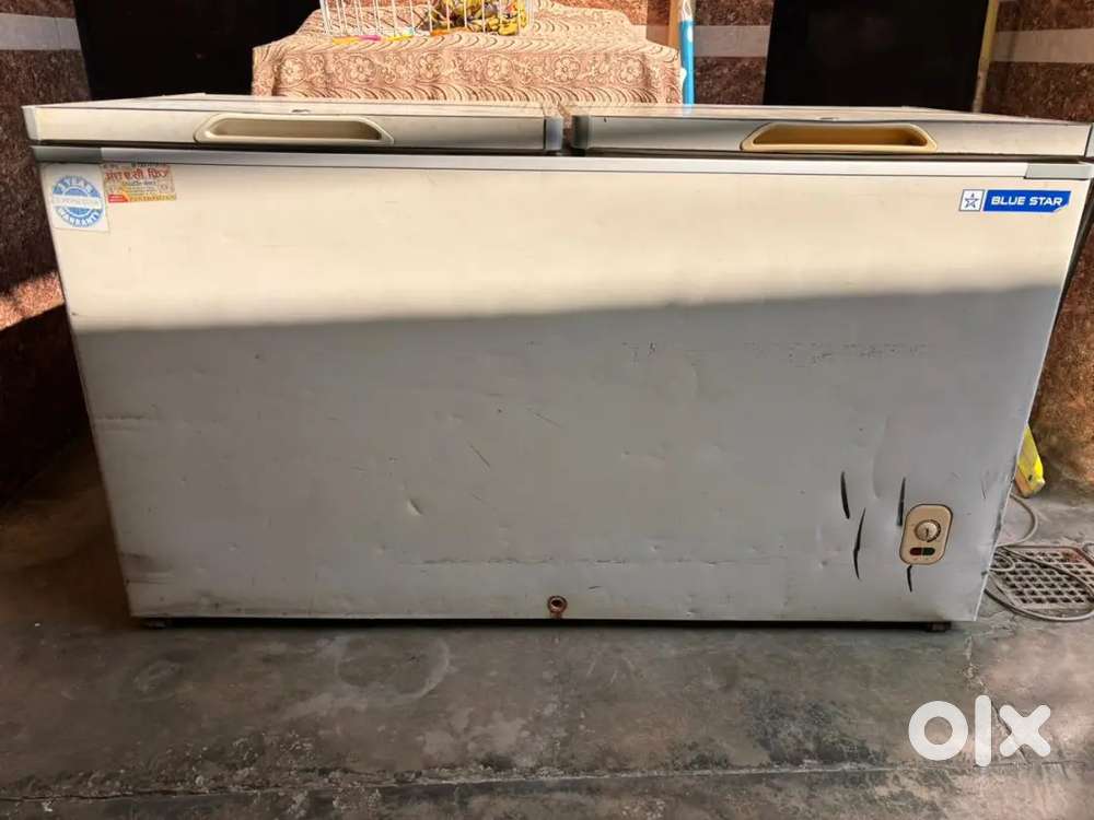 Blue star Deep fridge