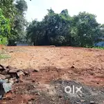 Plot for Sale-20 cent-Thodupuzha Karikkode- Muthaliar madam road