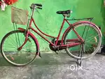 Ladies cycle