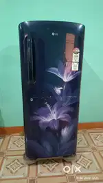 4 year old fridge