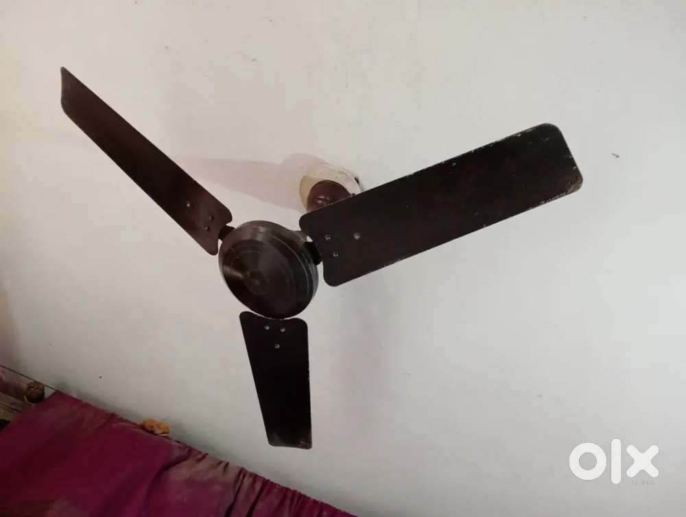 Fan for sale