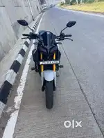 Mt15 v2 2024