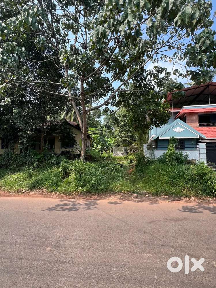 Plote for sale near NIT kattangal (building site)