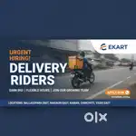 Delivery boy required