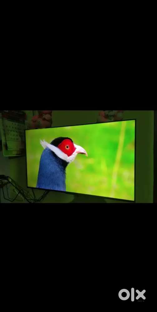 OnePlus U Series 4K LED Smart Android TV55'' (screen size)