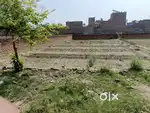 Bhagipur Near Shikohabad Road