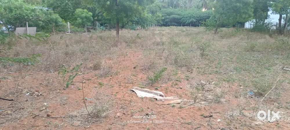 Gurunadhapuram thiruchendur road  Garden places from house