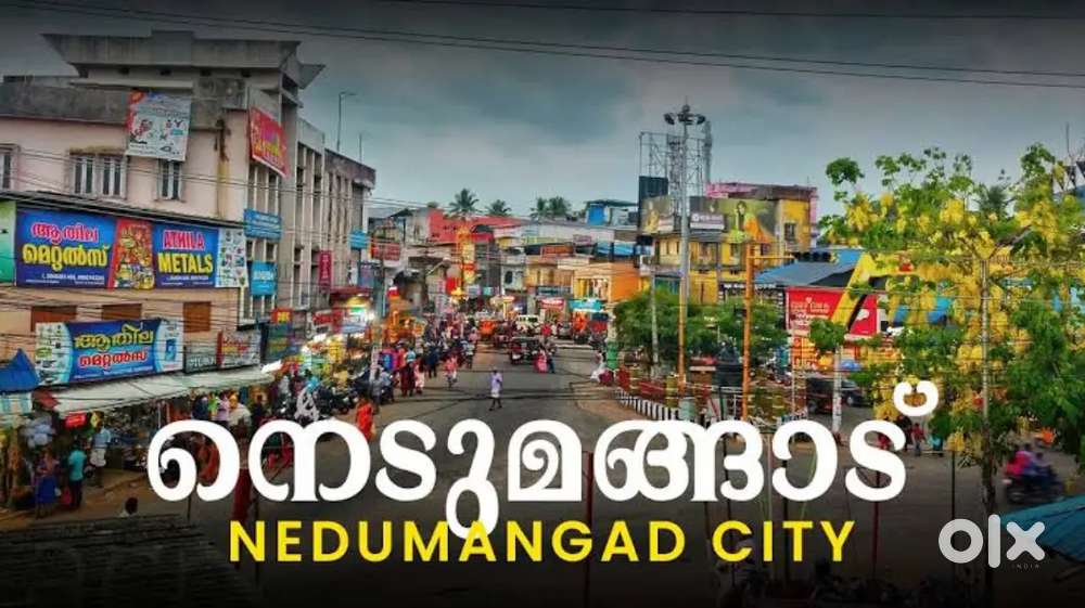 5 Cent Land for Sale Near Kulappada, Nedumangad