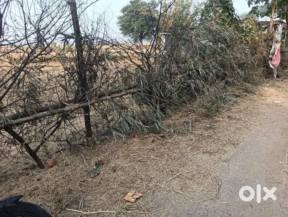 Ambikpur Bilaspur road se under banjari jagdish pur road me 20 dicmil