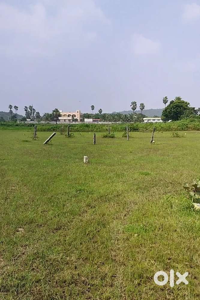 PLOT FOR SALE AT GAJULAPET SHIVAR NEAR Challa group project