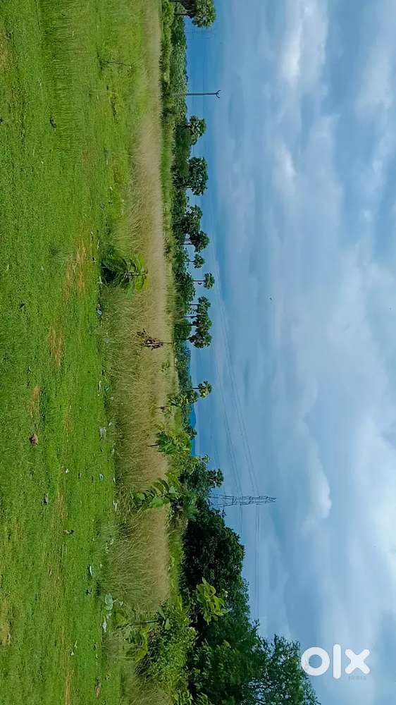 Land for sale near maidharpur road from direct owner