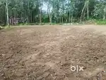 Plot for sale (squre plot)