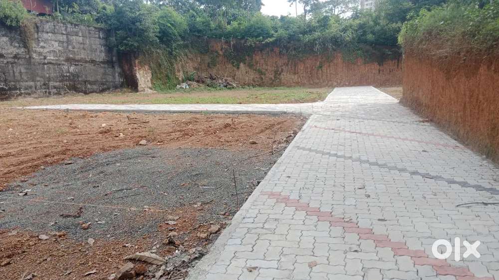 4 to 10 cent edachira kakkanad near Infopark