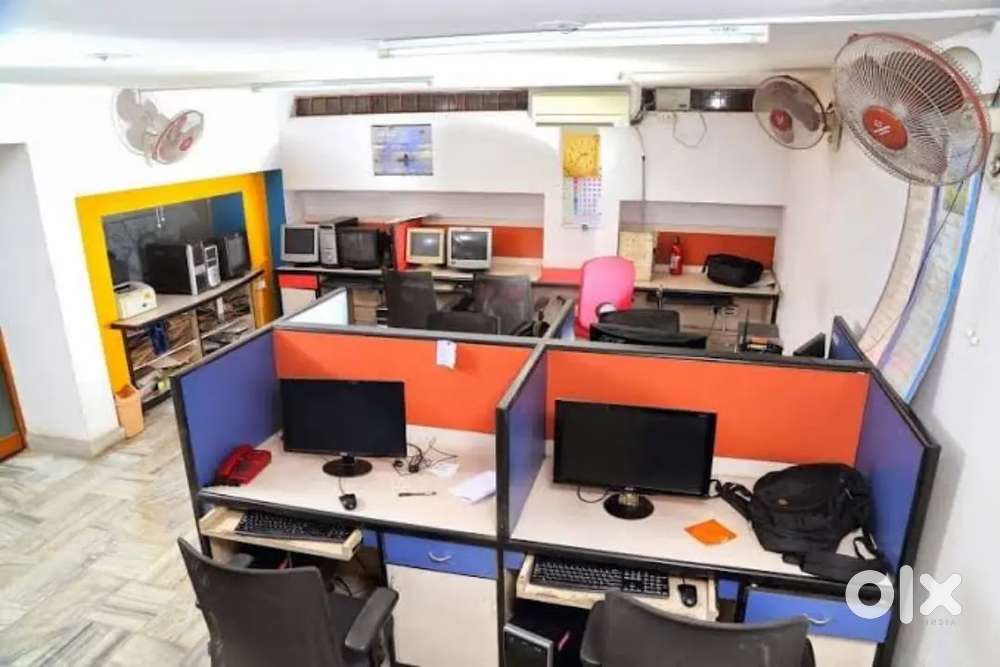 Best working opportunity