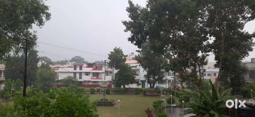 Newly renovated park & east facing independent home