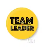 TEAM LEADER WANTED ALL OVER TAMILNADU