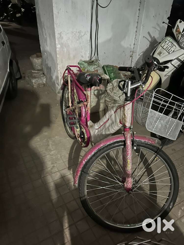 Cycle Ladies