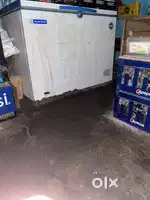 Blue star 350 liter